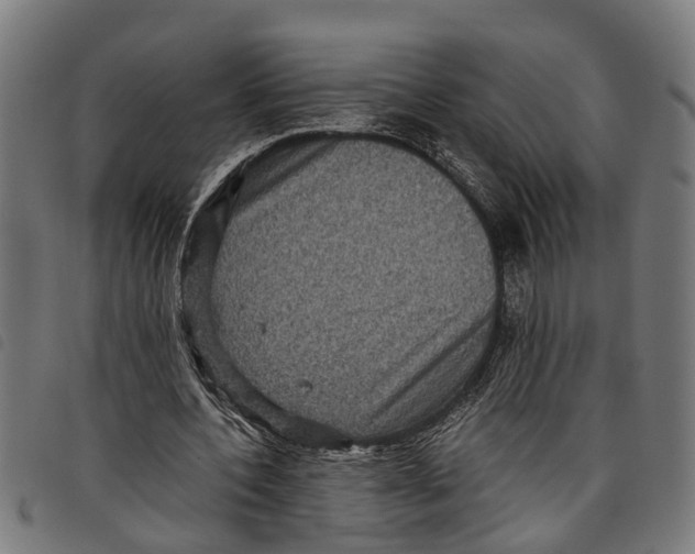 X0000097800532200804041316