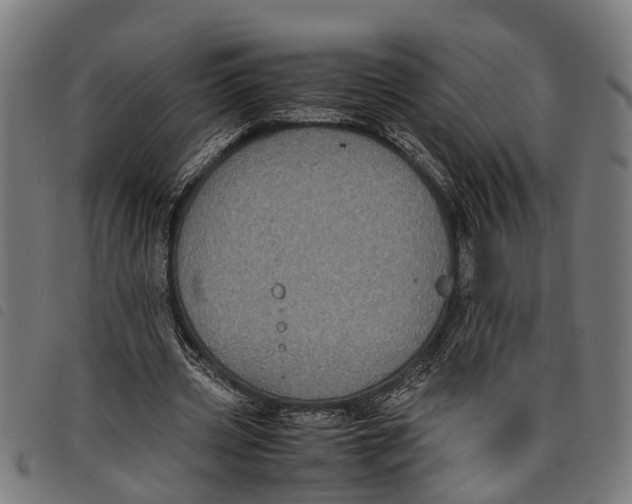 X0000097800533200804041316