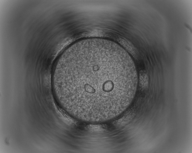 X0000097800534200804041316