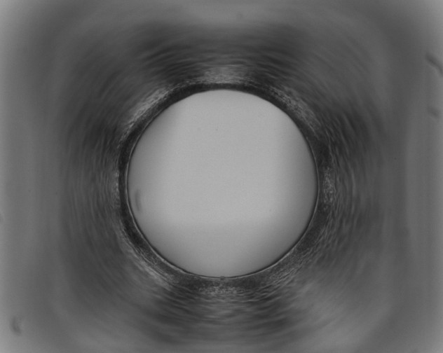 X0000097800535200804041316