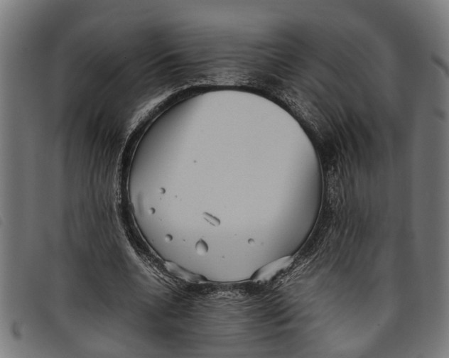 X0000097800536200804041316