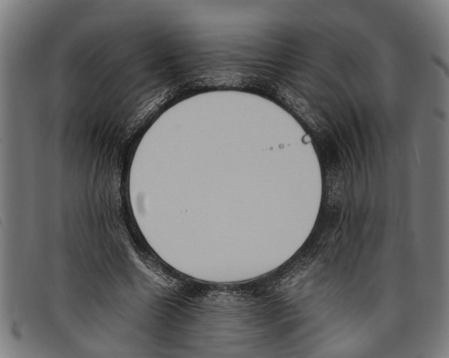 X0000097800538200804041316