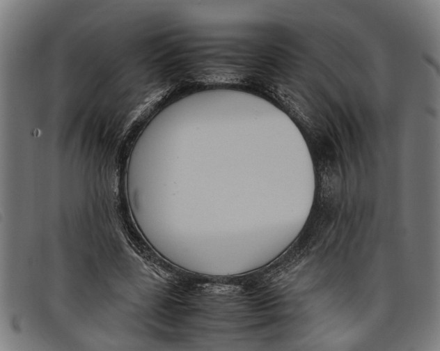 X0000097800539200804041316