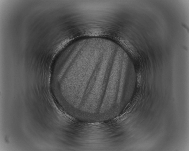 X0000097800540200804041316