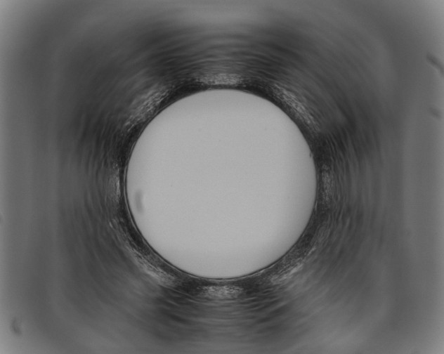 X0000097800541200804041316