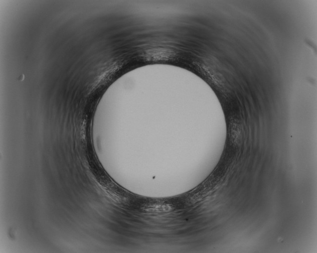 X0000097800543200804041316