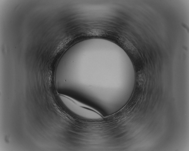 X0000097800544200804041316