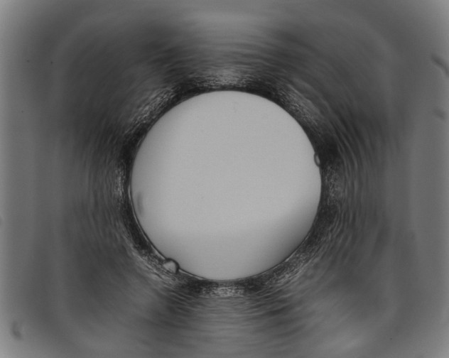 X0000097800546200804041316