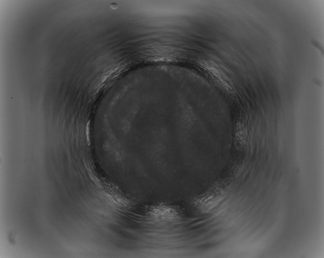 X0000097800547200804041316