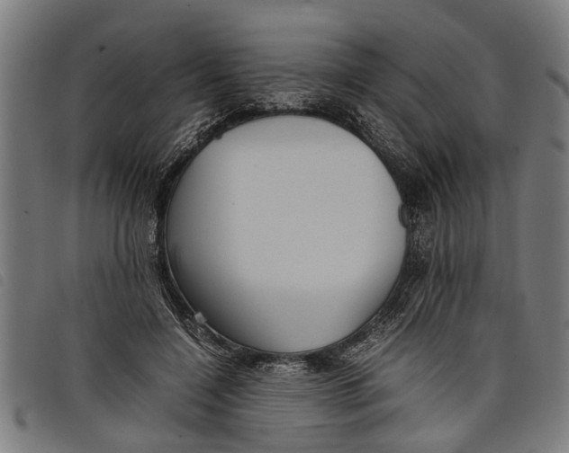 X0000097800548200804041316