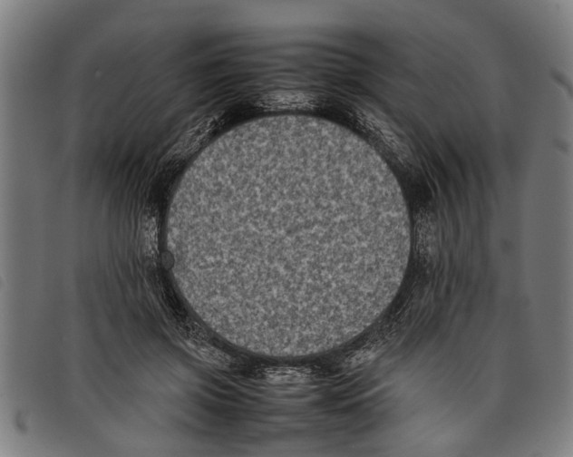 X0000097800549200804041316