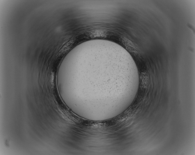 X0000097800550200804041316