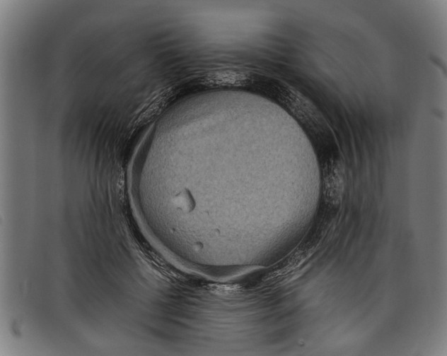 X0000097800552200804041316