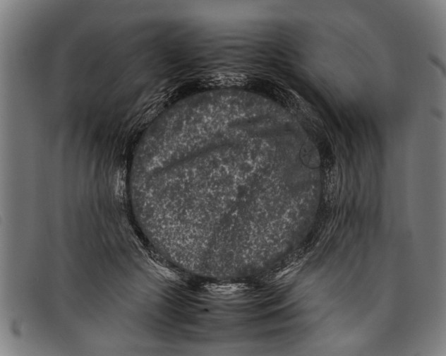 X0000097800553200804041316