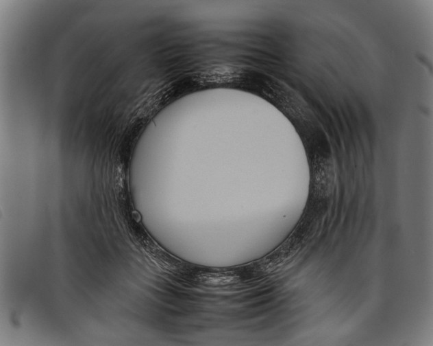 X0000097800555200804041316