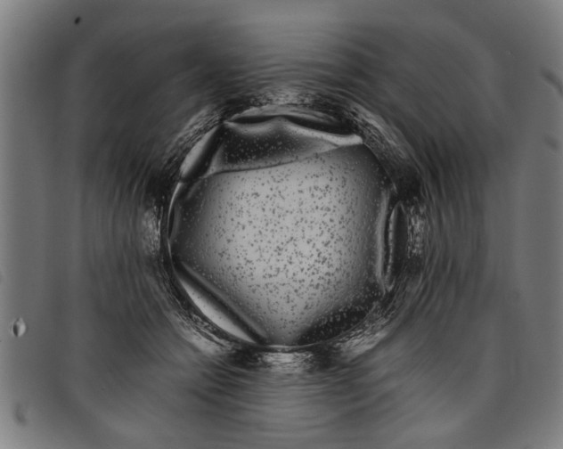 X0000097800558200804041316