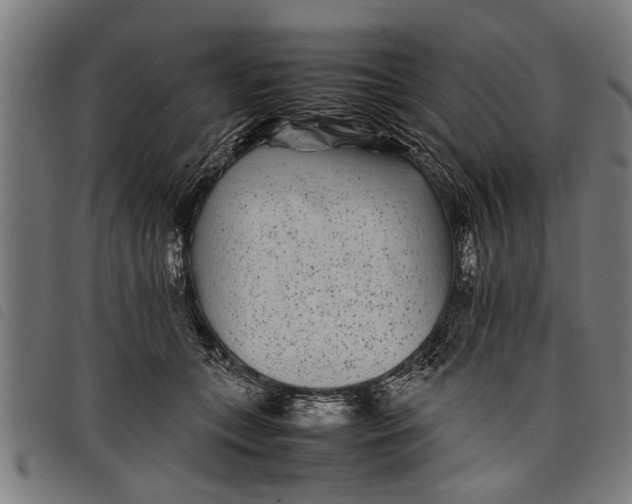 X0000097800559200804041316