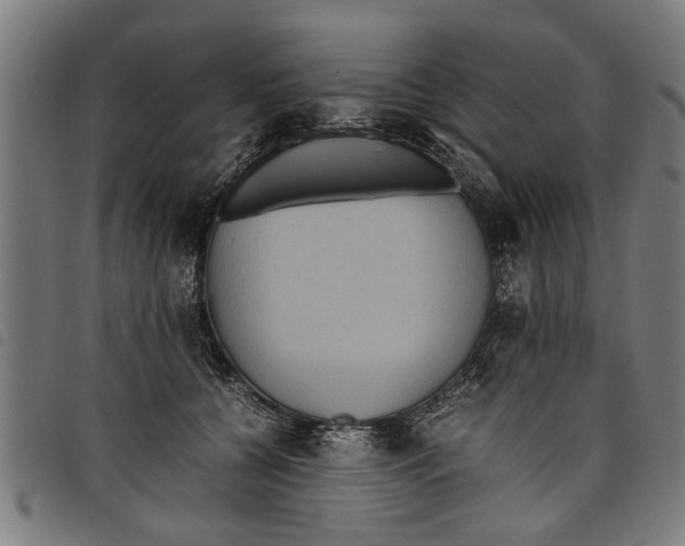 X0000097800560200804041317