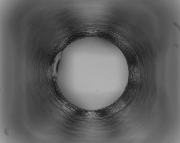 X0000097800562200804041317