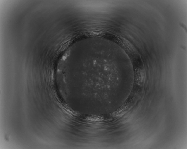 X0000097800563200804041317