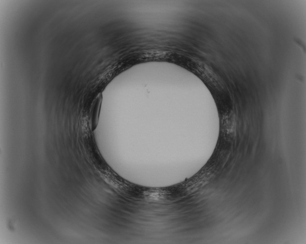 X0000097800564200804041317