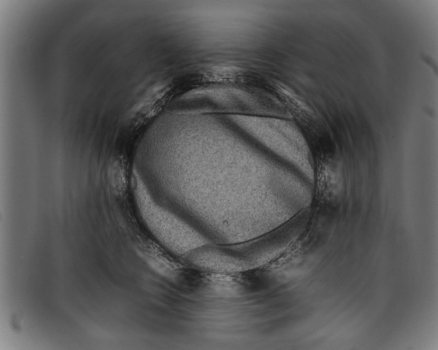 X0000097800566200804041317