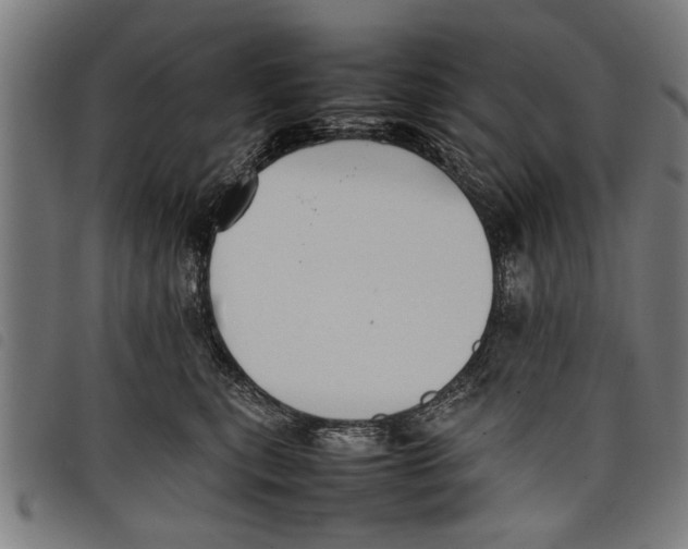 X0000097800567200804041317