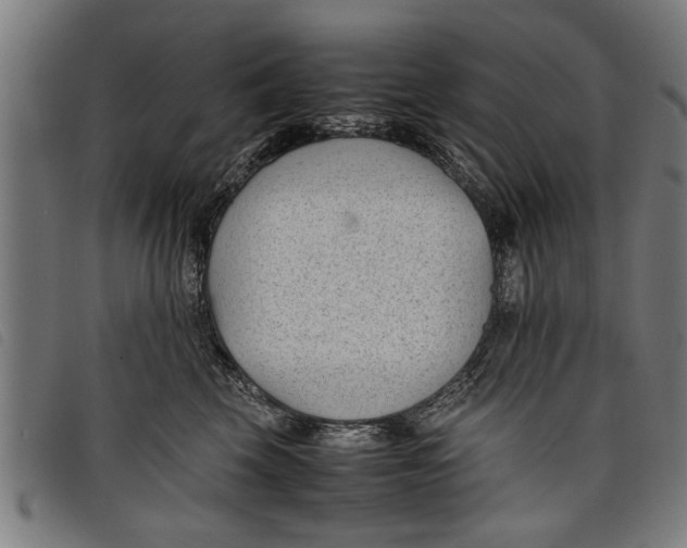 X0000097800569200804041317