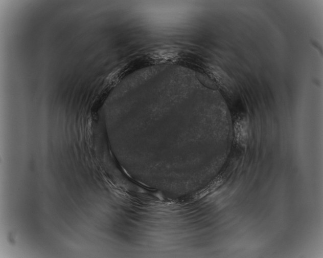 X0000097800570200804041317