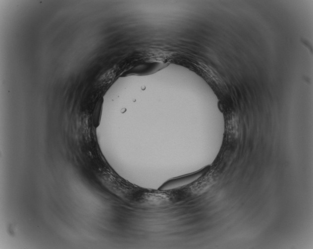 X0000097800572200804041317