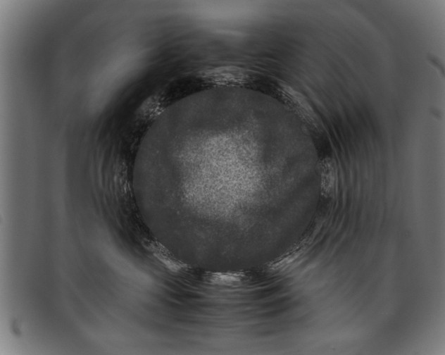 X0000097800573200804041317