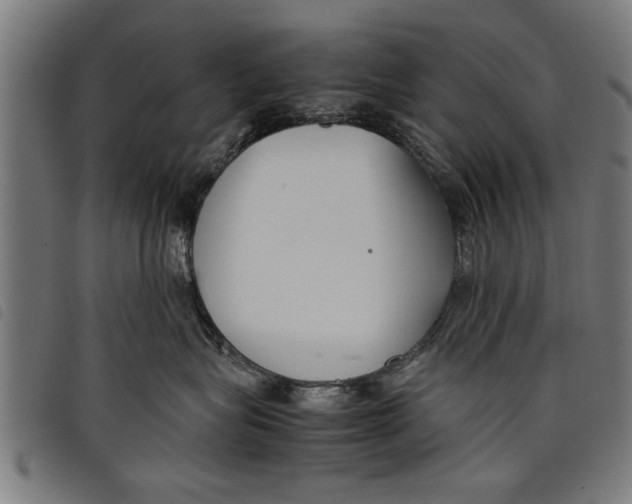 X0000097800575200804041317