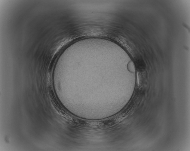 X0000097800579200804041316