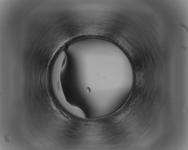 X0000097800580200804041316