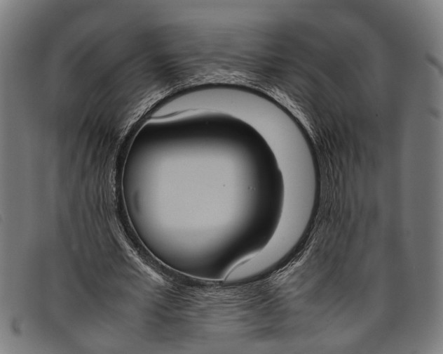 X0000097800581200804041316