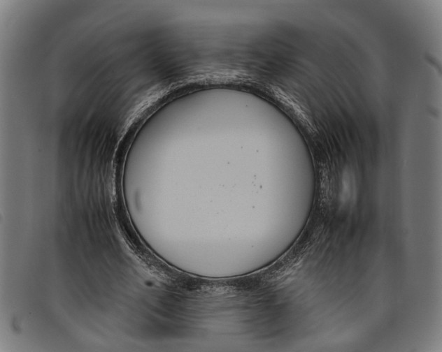 X0000097800582200804041316