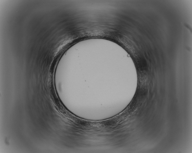 X0000097800583200804041316