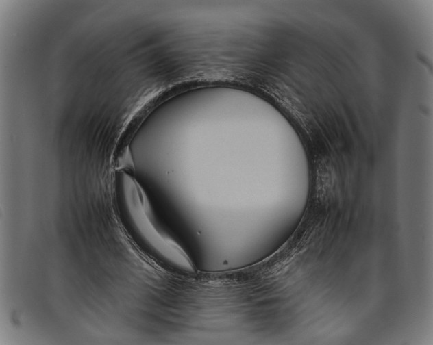 X0000097800584200804041316