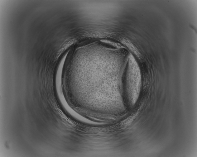 X0000097800585200804041316