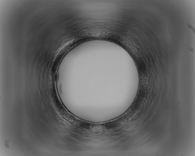 X0000097800587200804041316