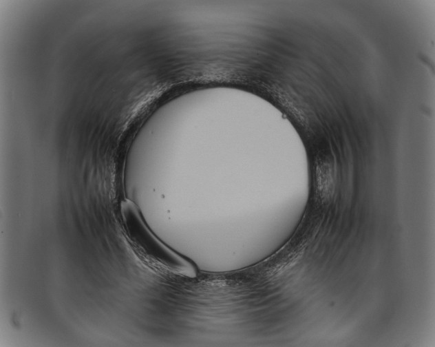 X0000097800588200804041316