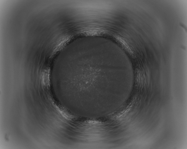 X0000097800590200804041316