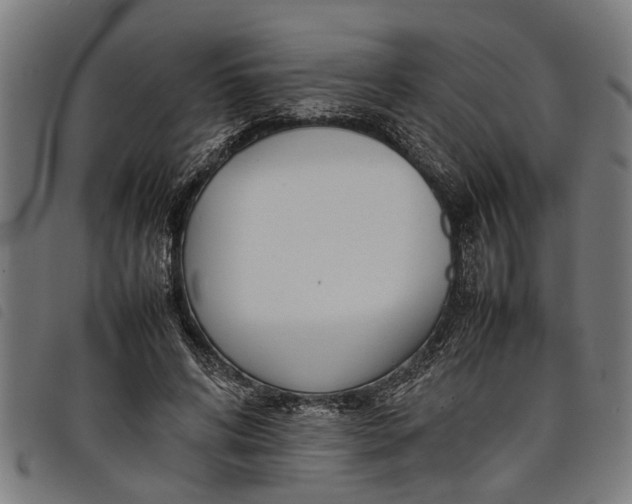 X0000097800592200804041316