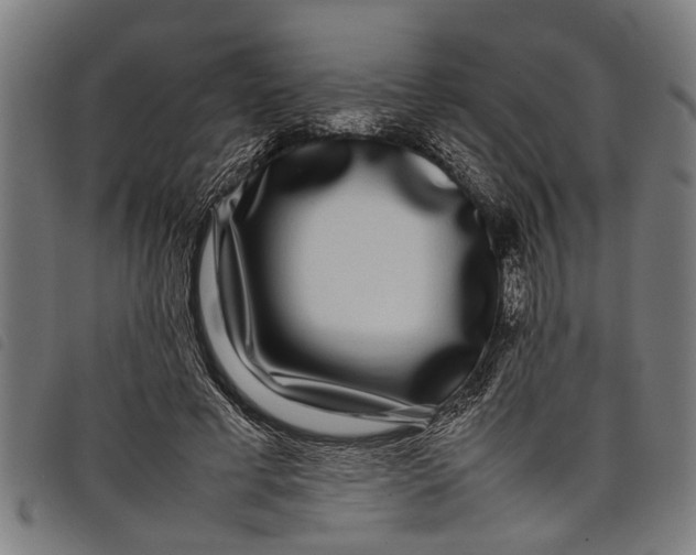 X0000097800593200804041316