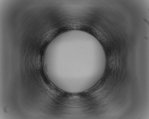 X0000097800594200804041316