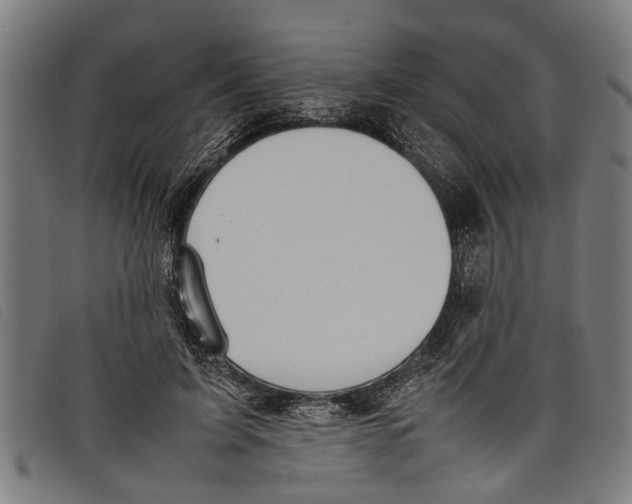 X0000097800595200804041316