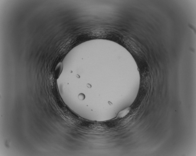 X0000097800597200804041316