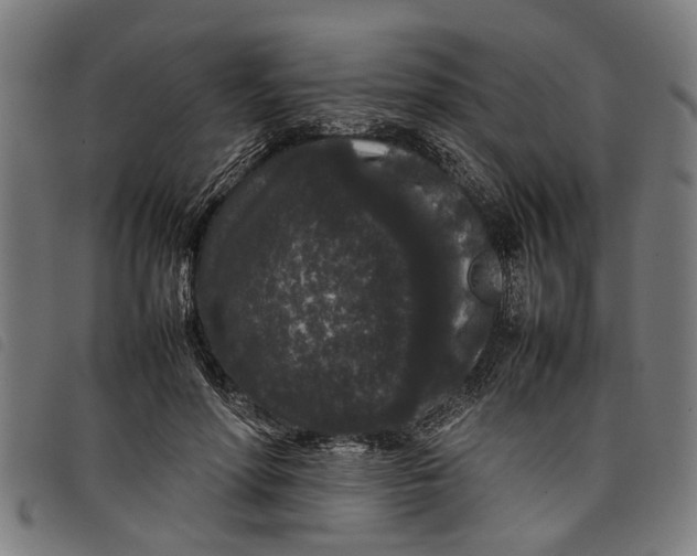 X0000097800598200804041316