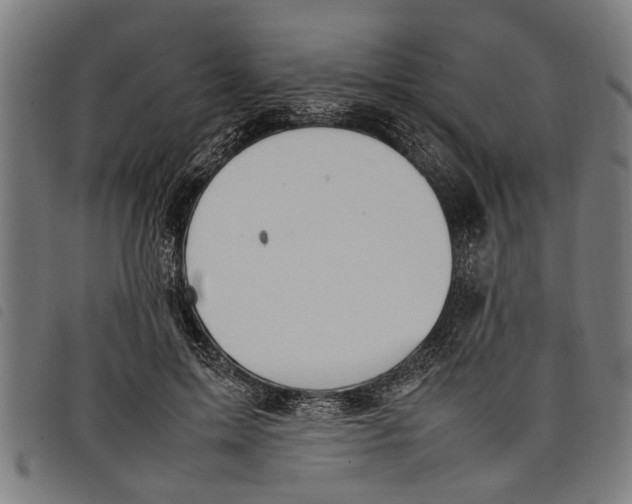 X0000097800599200804041316