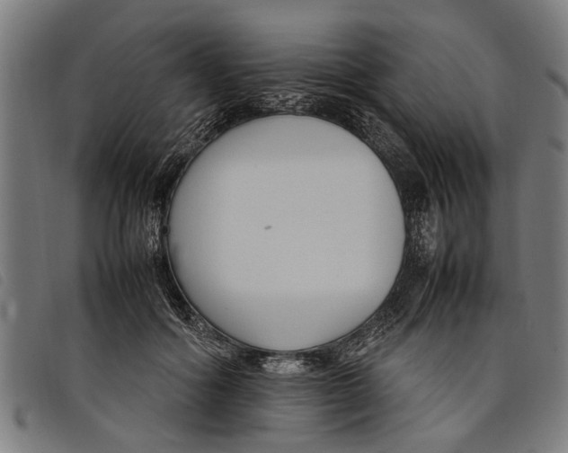 X0000097800602200804041316